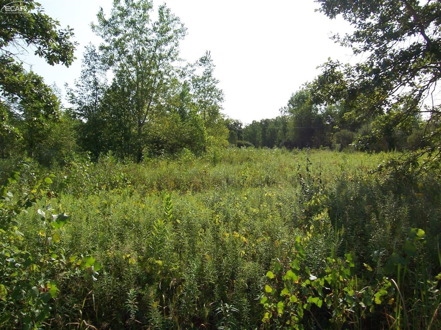 12386 N Elms Rd, Clio, MI for sale Primary Photo- Image 1 of 1