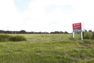 More details for US Highway 301, Zephyrhills, FL - Land for Sale