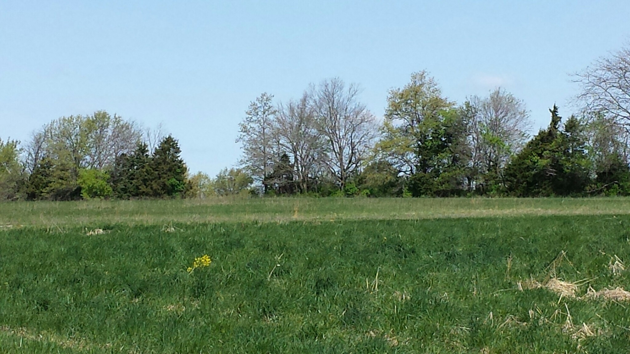 10 Acres Highway F, Wright City, MO for sale Other- Image 1 of 1