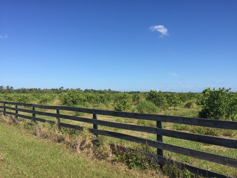 0 Lake Buffum Rd S, Fort Meade, FL 33841