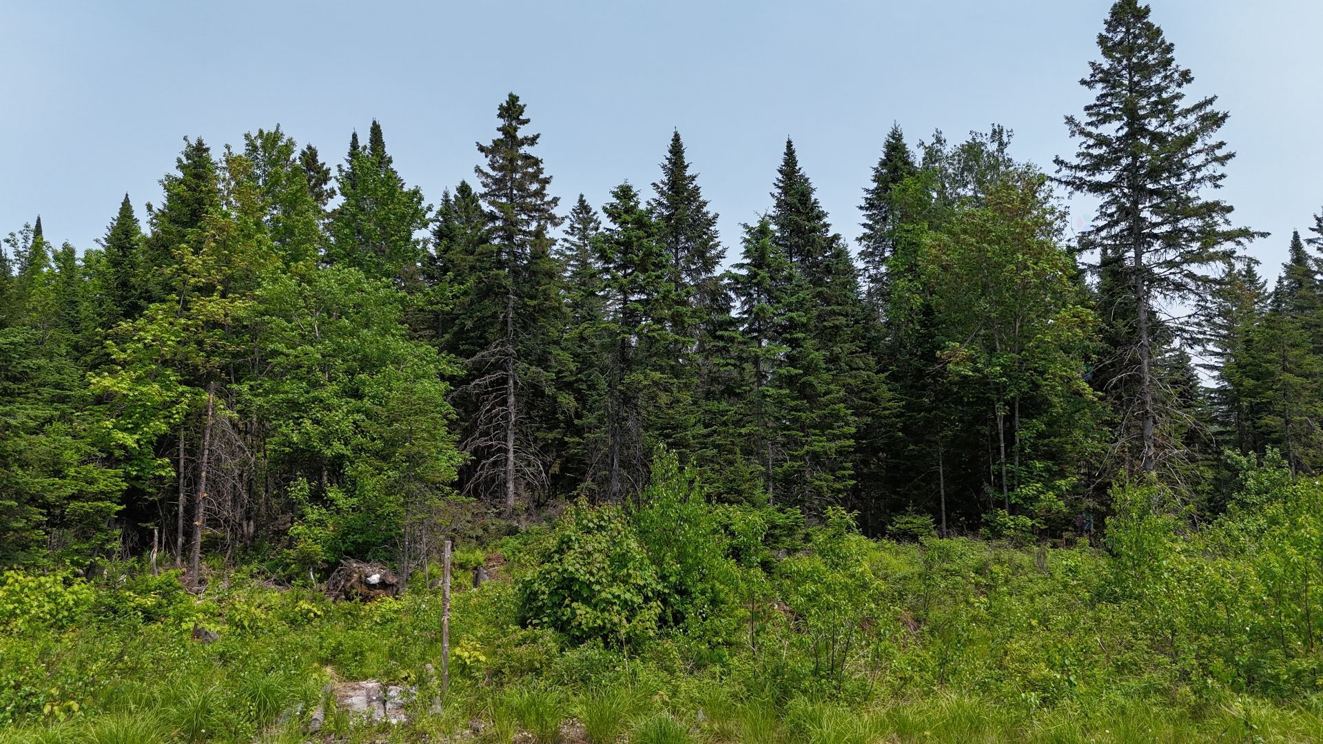 2500 Rte 329, Mille-isles, QC for sale Primary Photo- Image 1 of 1