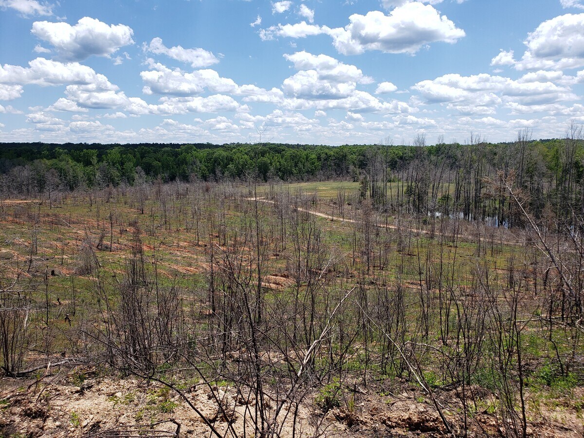 Jackson Lake Rd, Monticello, GA 31064