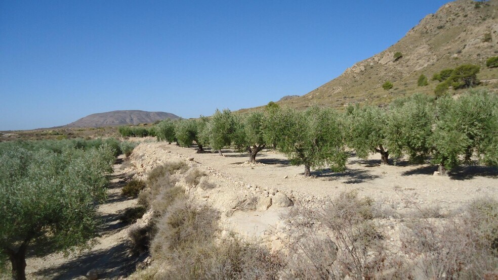 Land in Abanilla for sale - Building Photo - Image 2 of 18