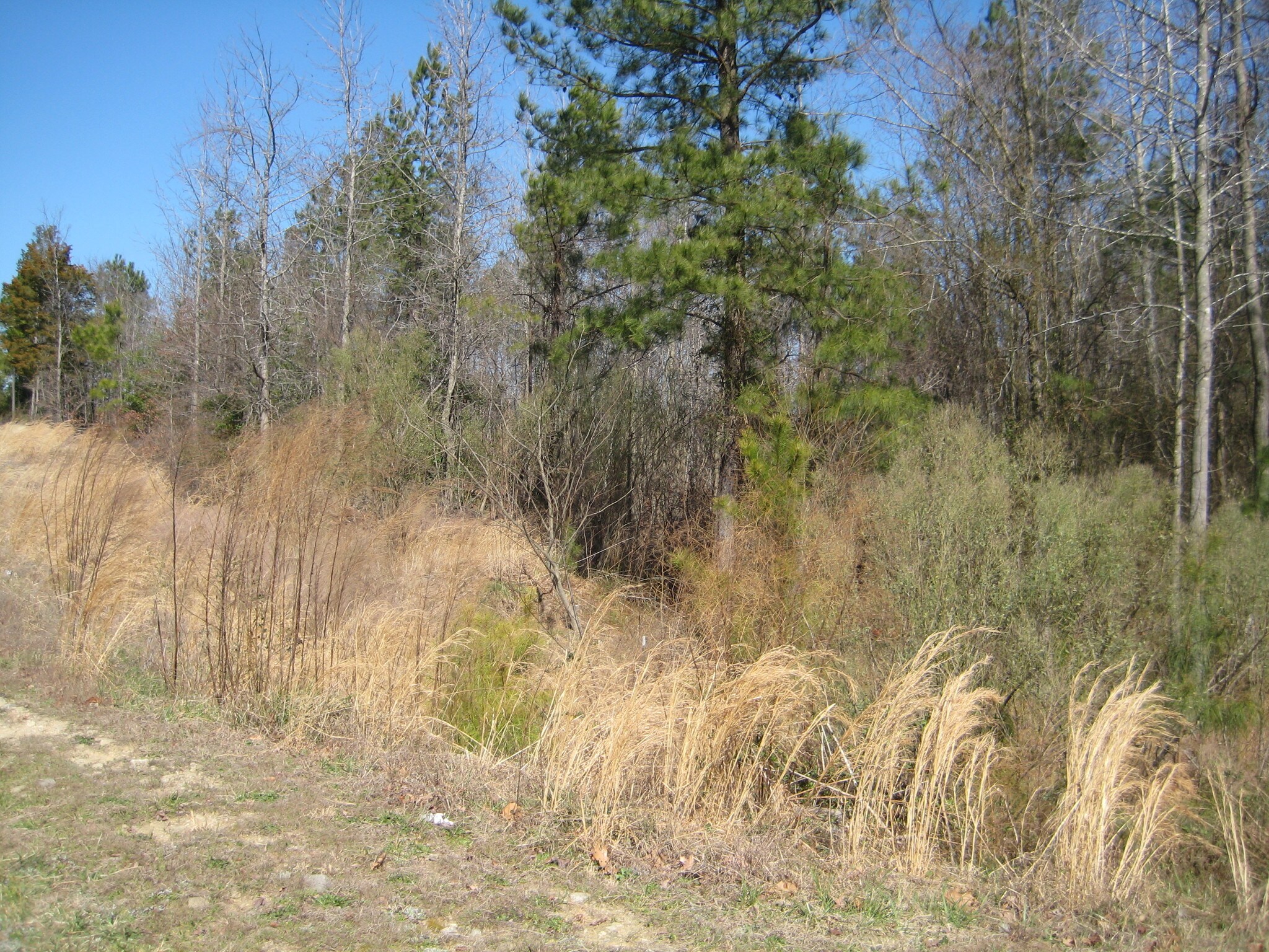 6000 Rogers Rd, Rolesville, NC for sale Building Photo- Image 1 of 1
