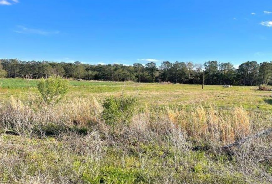 0 W Hampton St, Olanta, SC 29114