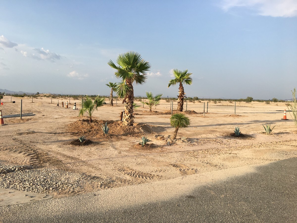 Tacna, Tacna, AZ 85352