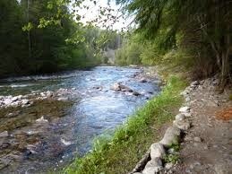 3611-3711 Hwy 212, Covington, GA for sale Other- Image 1 of 1