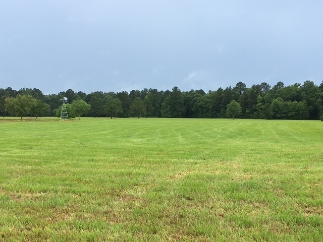 Highway 10 & FM 1136, Orange, TX for sale - Other - Image 3 of 11