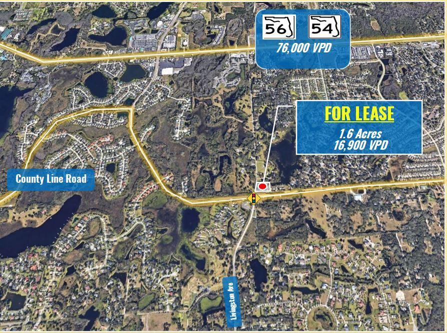 21539 County Line Rd, Lutz, FL 33559 1.6 Acres 21539 County Line Rd