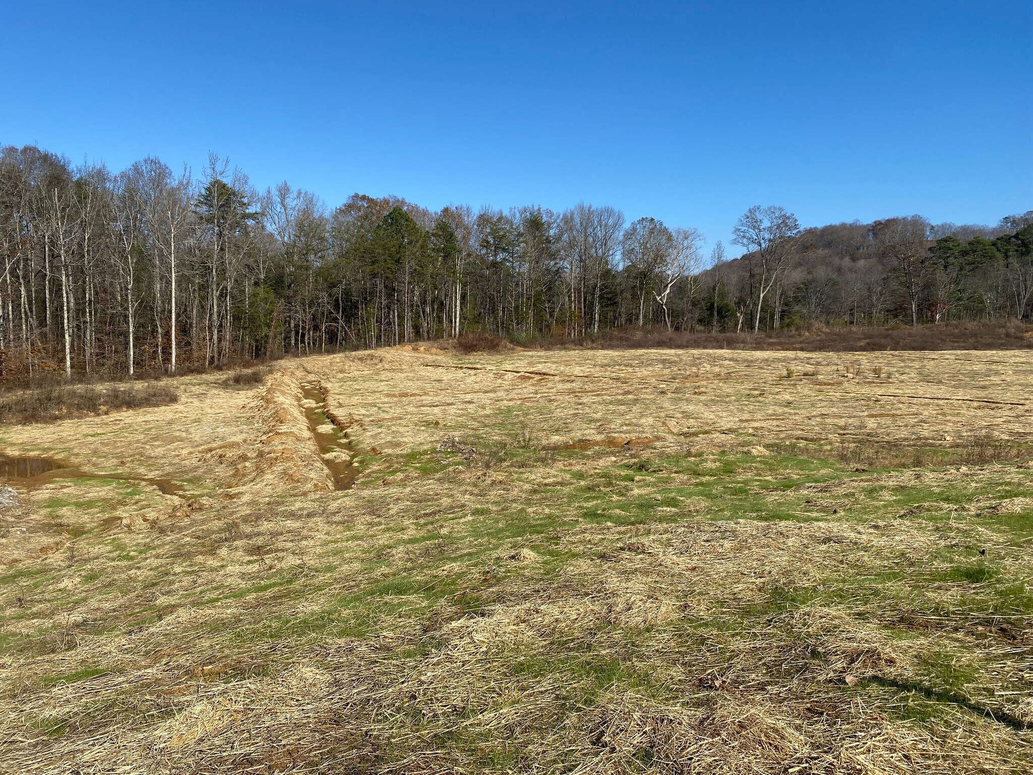 12650 Yarnell Road, Knoxville, TN 37932 Hardin Valley Approved 59