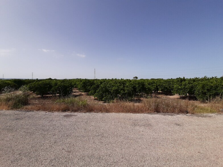Land in Alzira, Valencia for sale - Building Photo - Image 2 of 14