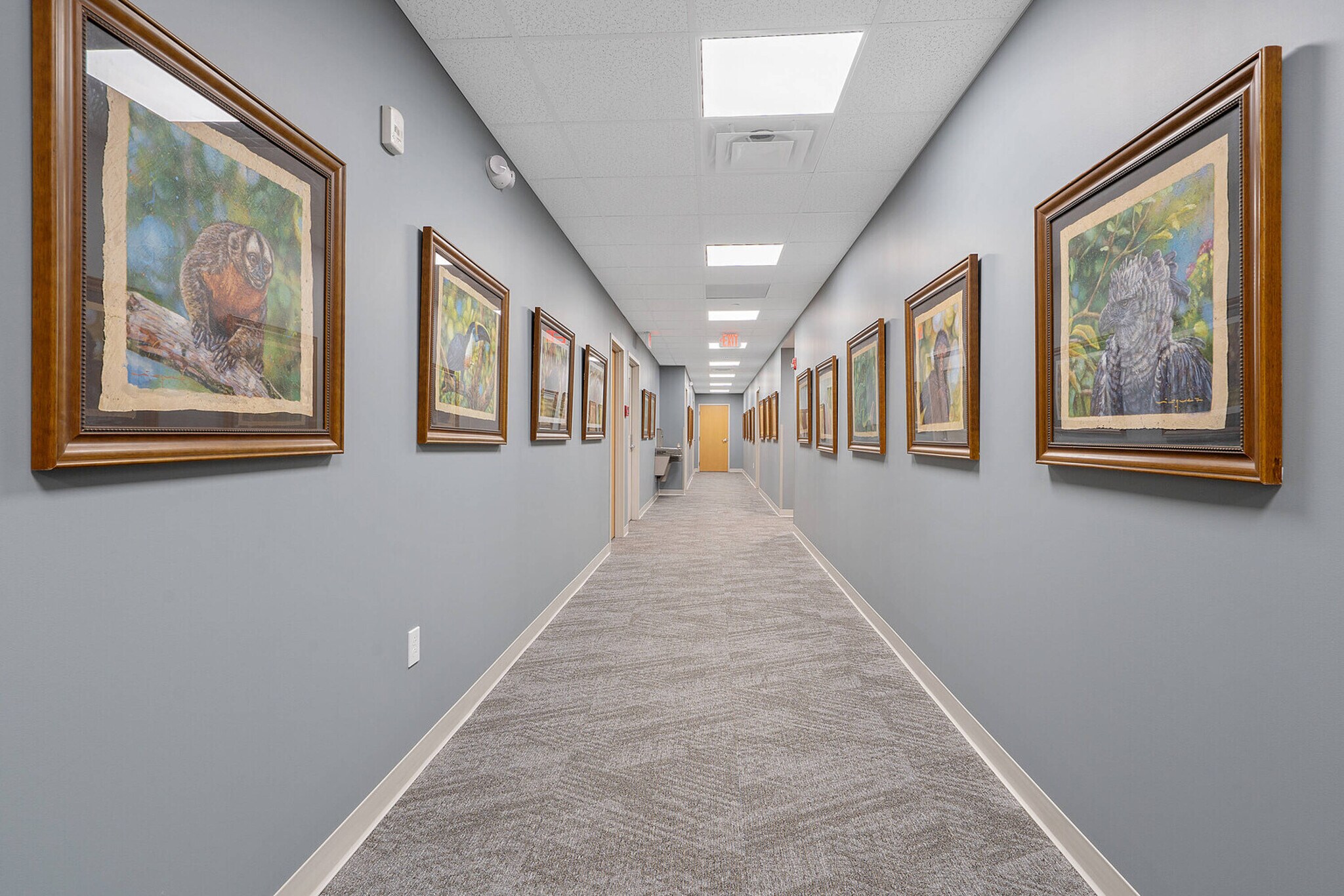 1101 Erie Blvd, Syracuse, NY 13210 - Erie Medical Plaza | LoopNet