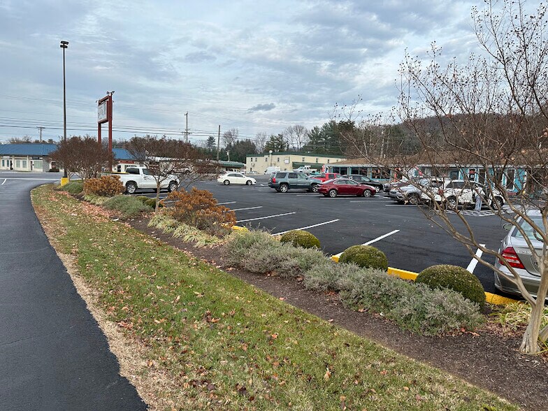 865 John Marshall Hwy, Front Royal, VA 22630 Retail for Sale