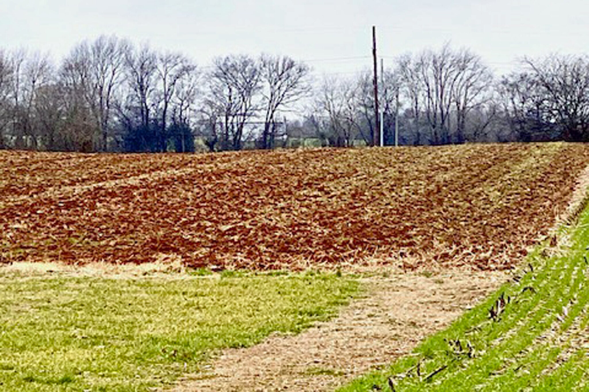 500 North St, Franklin, KY for sale Other- Image 1 of 1