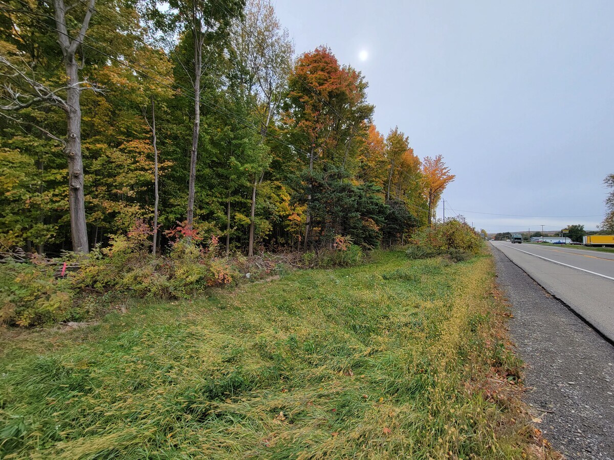 00 Route 60, Fredonia, NY 14063 Route 60 2 acre lot