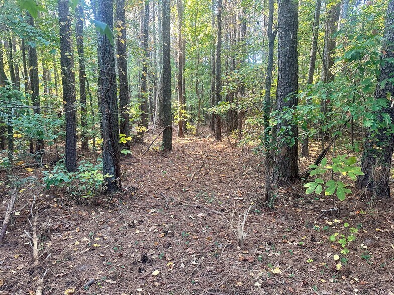 00 NE Hwy 411, Rydal, GA for sale - Other - Image 3 of 24