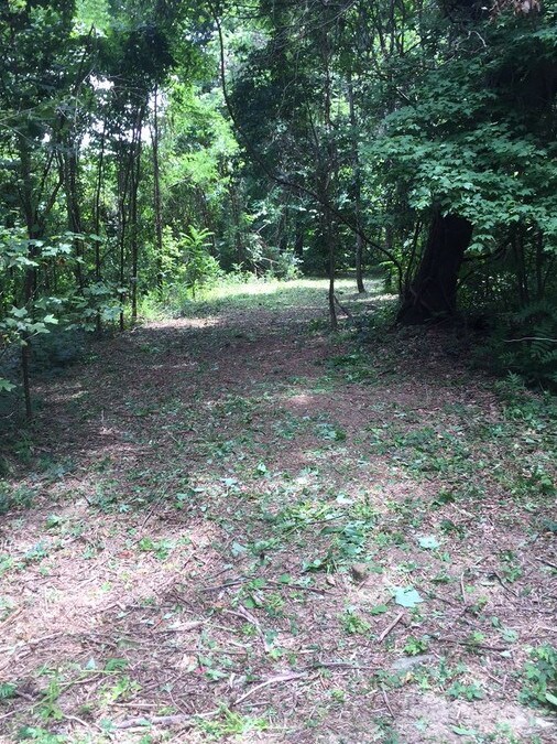 Day Lily Rd, Landrum, SC for sale Primary Photo- Image 1 of 1