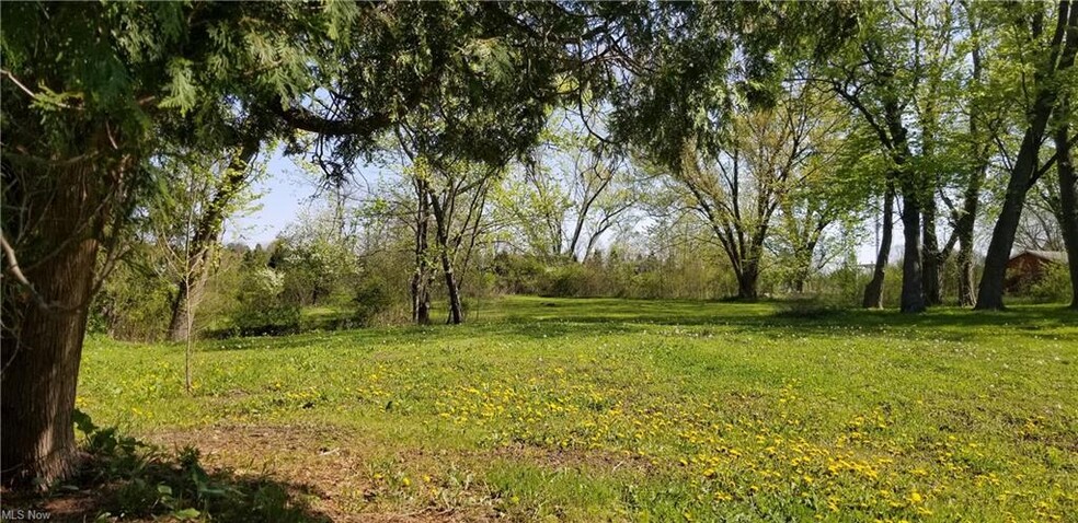 467 Center Rd, Hinckley, OH for sale - Primary Photo - Image 1 of 1