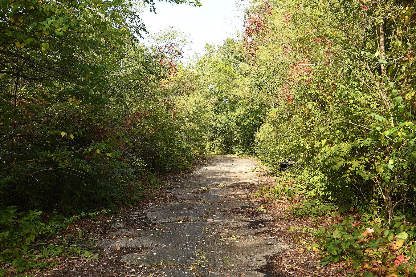 151ST, Homer Glen, IL 60491 | LoopNet