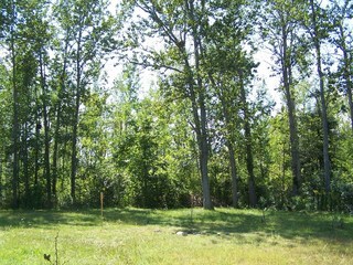 3027 3 Mile Rd, Traverse City, MI for sale Primary Photo- Image 1 of 1