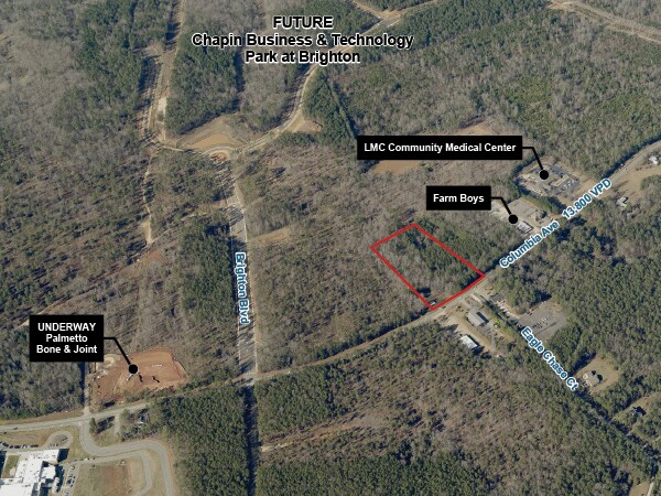Columbia Ave, Chapin, SC for sale - Building Photo - Image 1 of 1
