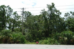 Two Combined Vacant Commercial Lots - Convenience Store