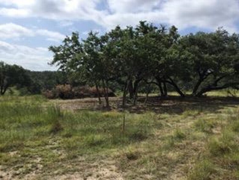 207 Verbena ct, Johnson City, TX for sale - Building Photo - Image 3 of 19