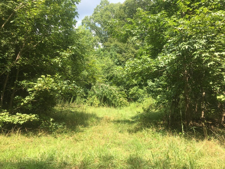 5151 Igo Rd, King VA 22485