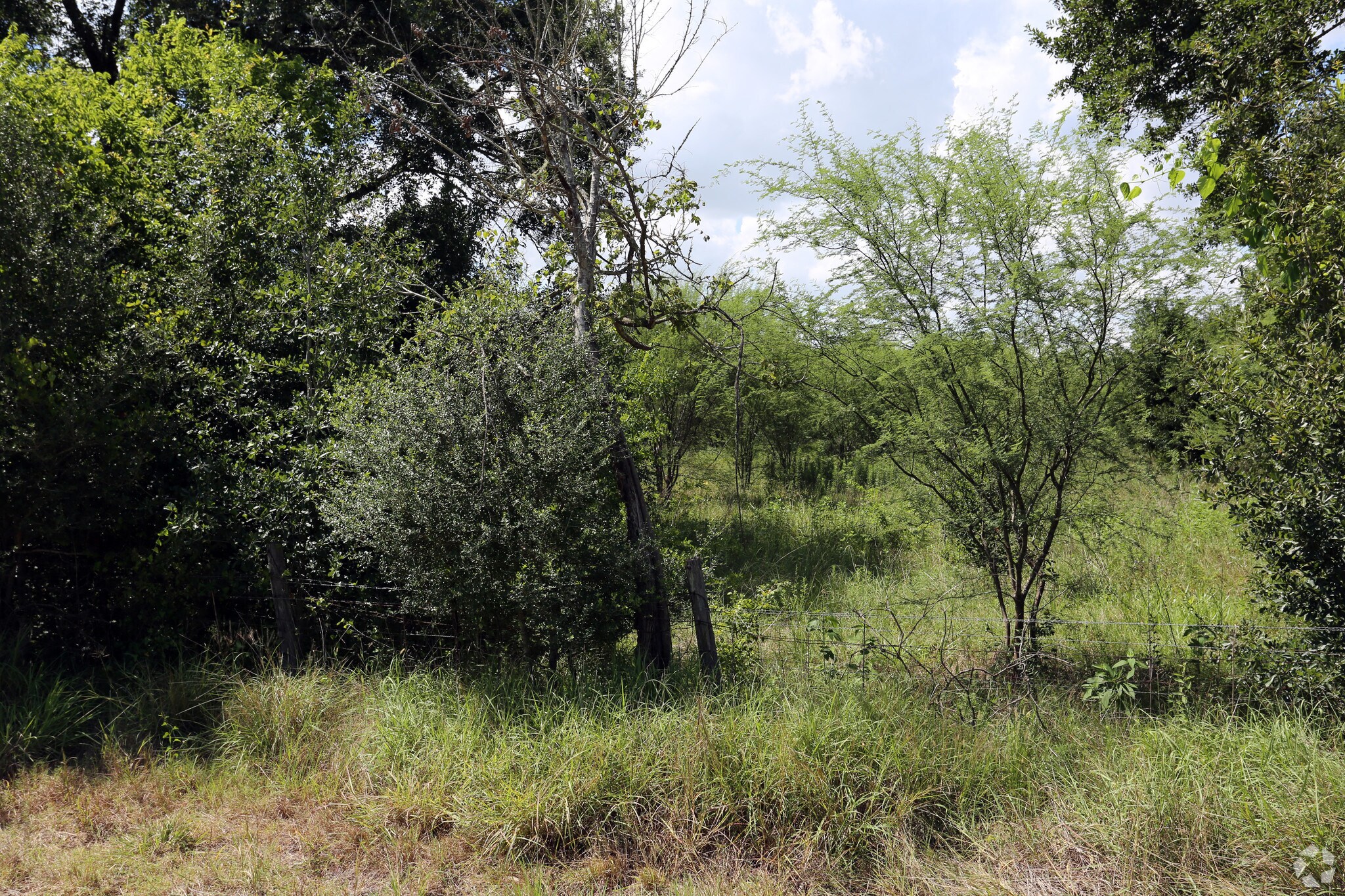 W Bellfort, Richmond, TX for sale Primary Photo- Image 1 of 1