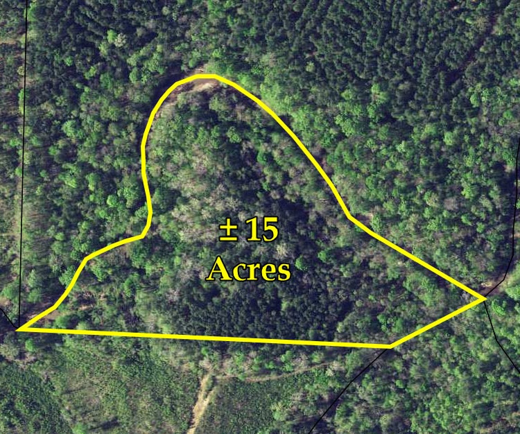 George Smith Road, Talbotton, GA for sale Primary Photo- Image 1 of 2