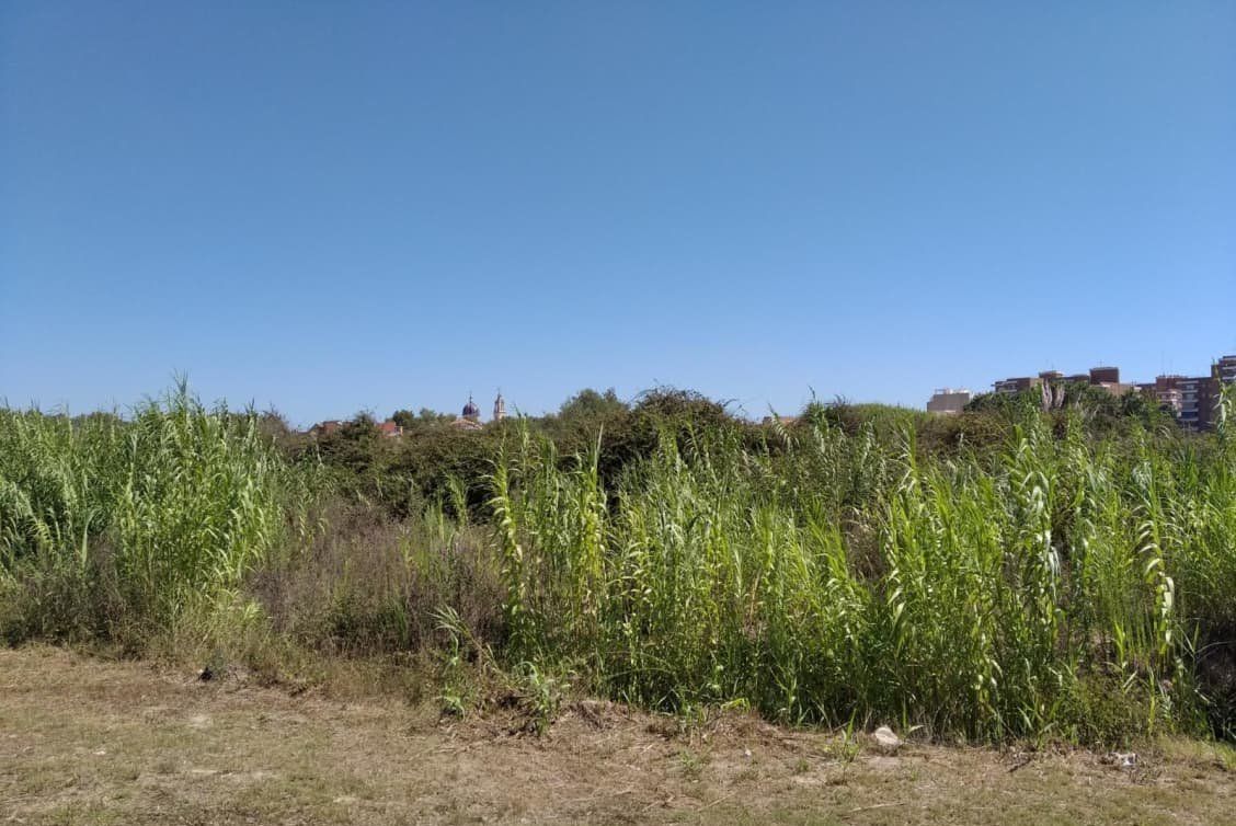 Finc, de, Sueca, Valencia for sale Building Photo- Image 1 of 5