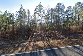 More details for NS/SD of New Holland Rd, Aiken, SC - Land for Sale