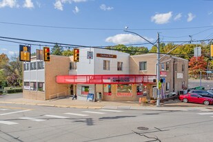 300 Cedar Blvd, Pittsburgh PA - Commercial Real Estate