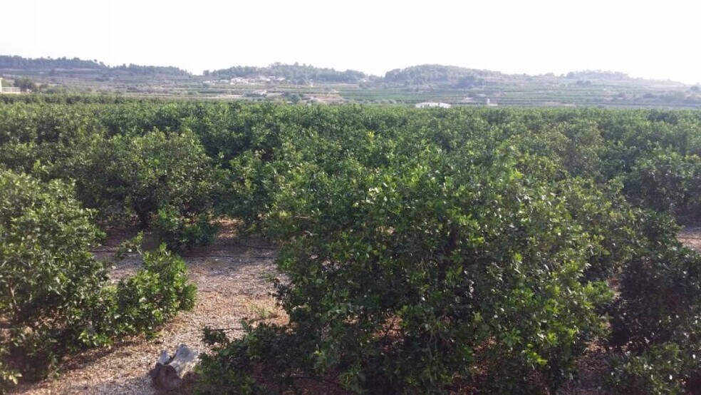 Land in Montroy, Valencia for sale - Building Photo - Image 1 of 14