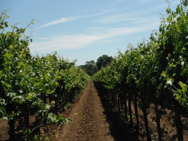 2574 Ledgewood Rd, Fairfield, CA for sale - Building Photo - Image 3 of 9