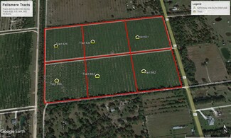 More details for 14355 115th, Fellsmere, FL - Land for Sale