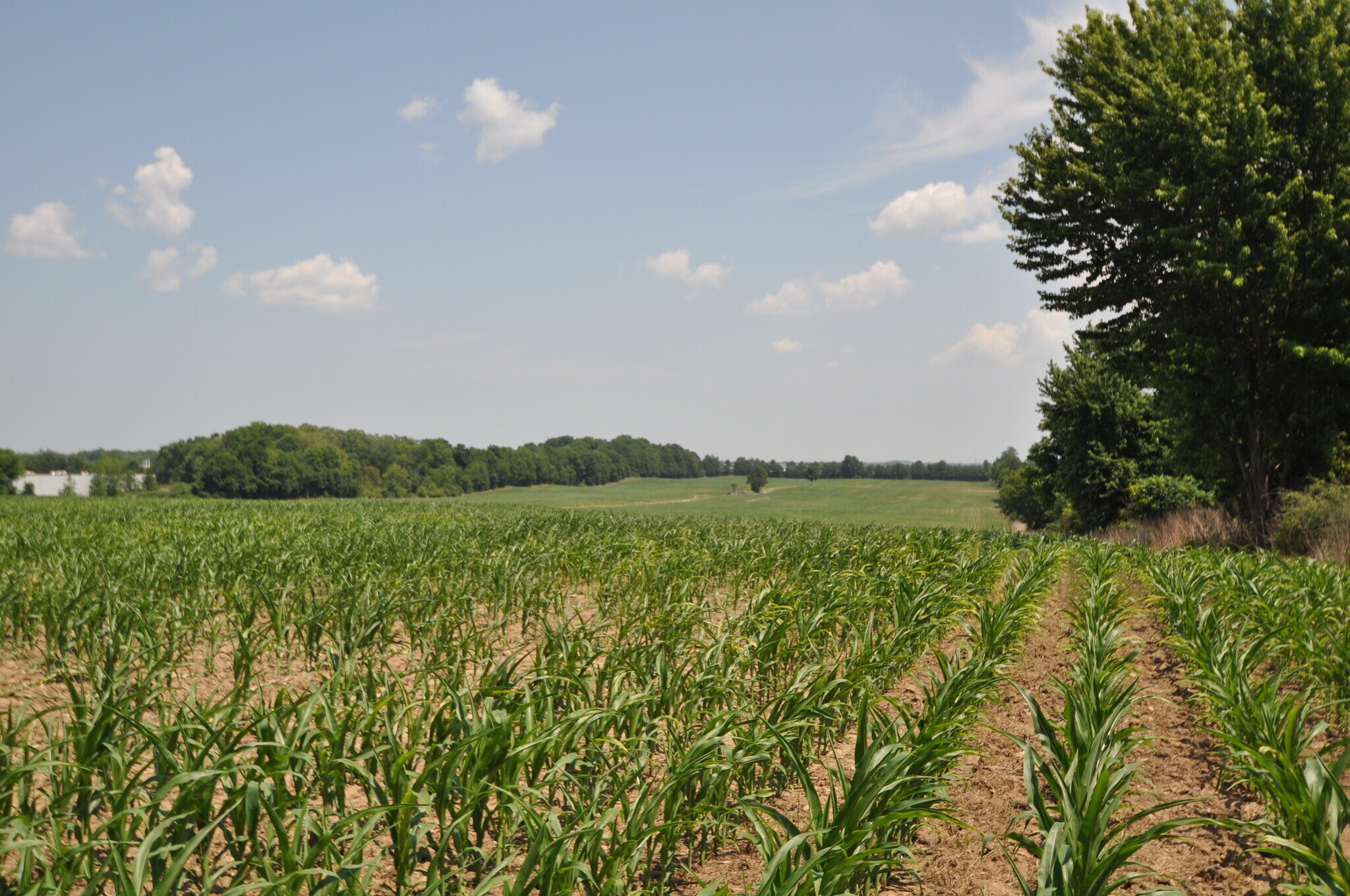 3860 E River Rd, West Henrietta, NY 14586 West Henrietta Industrial/Mixed Use