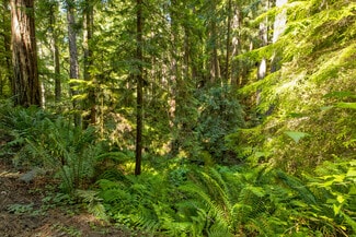 More details for 33170 Frog Pond rd, Little River, CA - Land for Sale