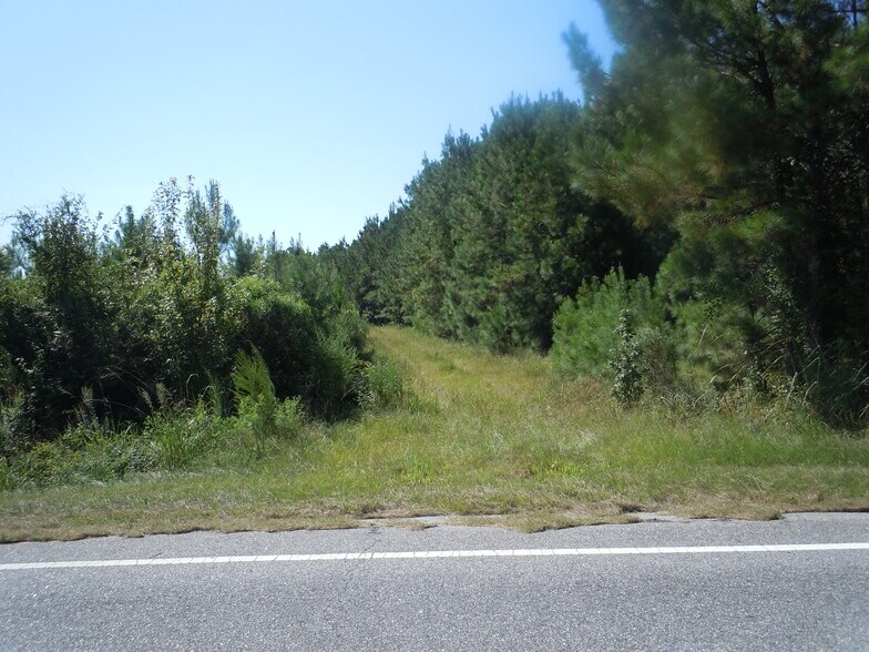 Near 10547 Andrew Jackson Highway SW Rd, Fair Bluff, NC for sale - Other - Image 3 of 3