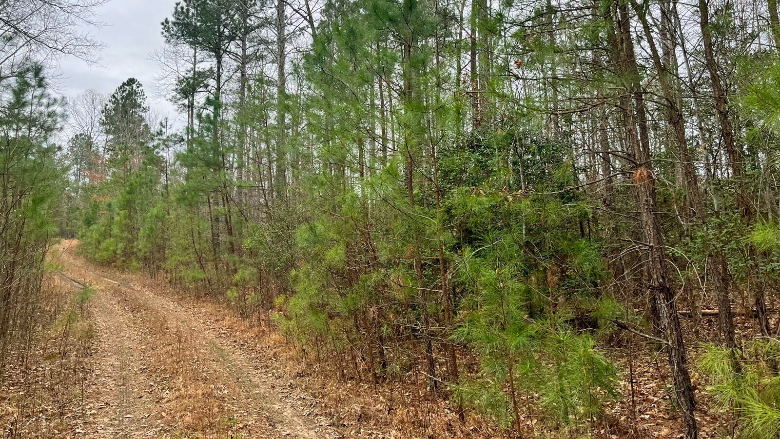 Good Hope, Lanexa, VA 23089