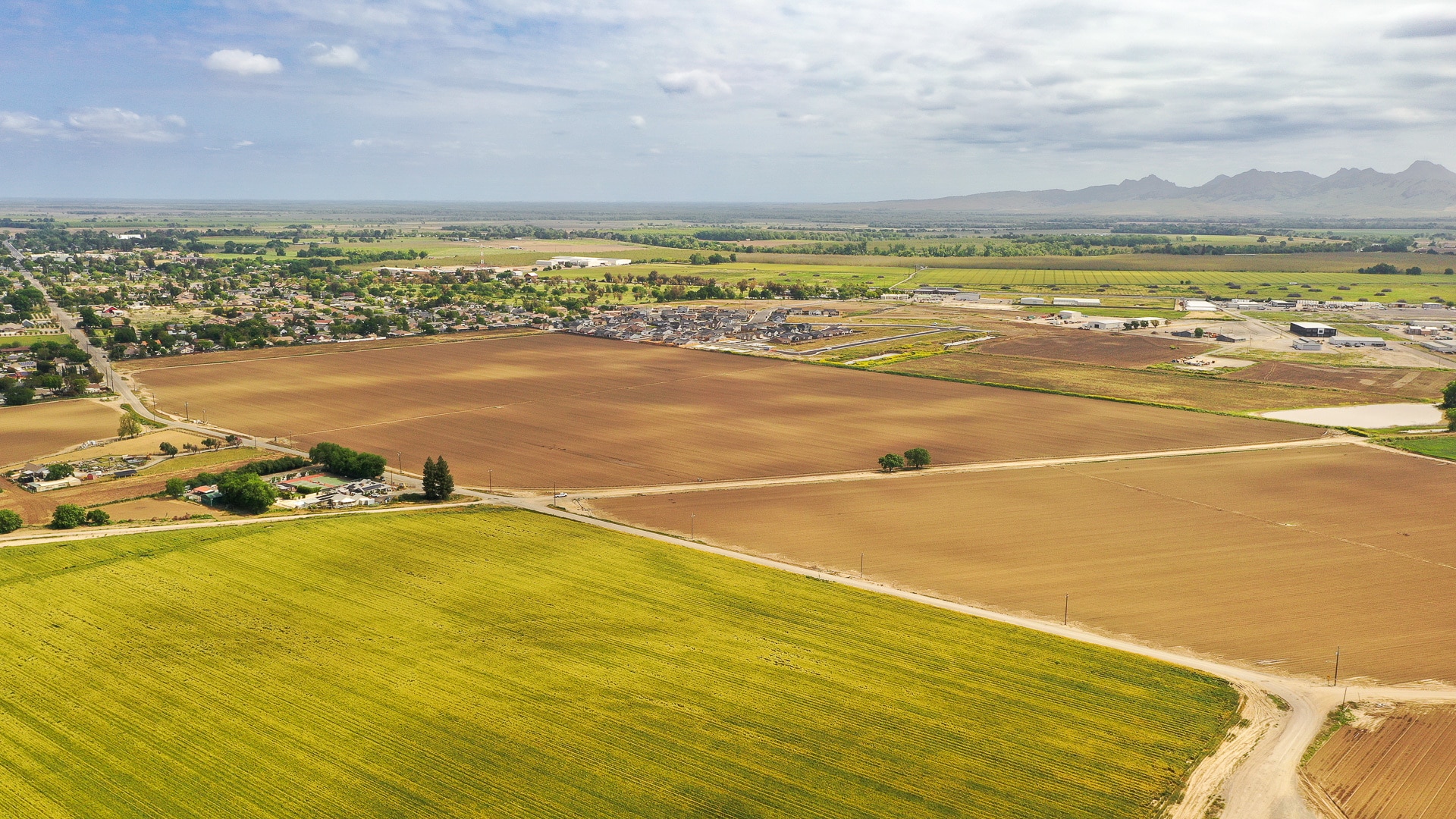Wescott Rd., Colusa, CA for sale Primary Photo- Image 1 of 6