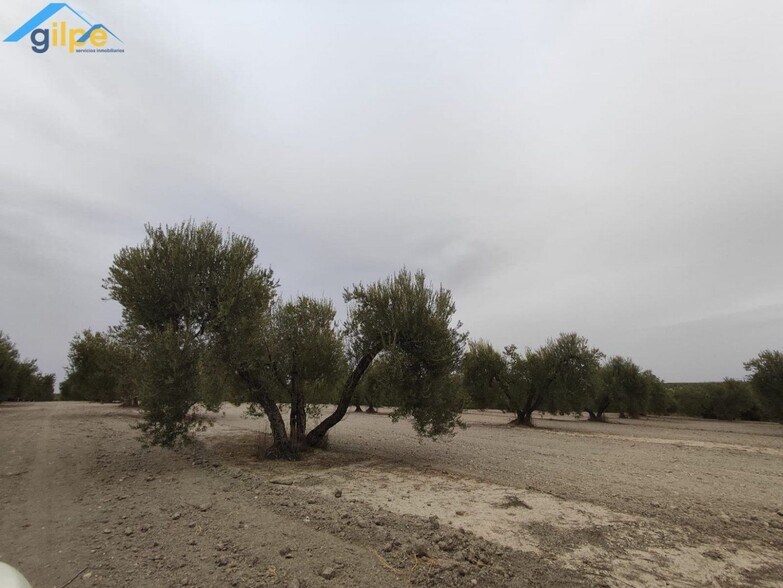 Land in Arahal for sale - Building Photo - Image 1 of 5