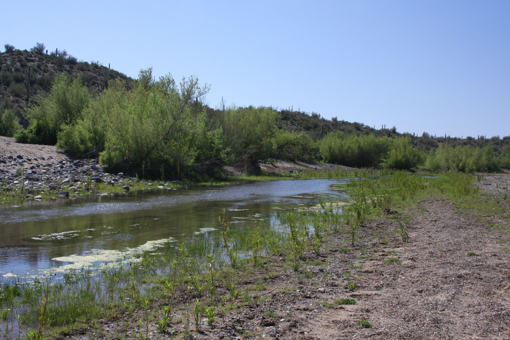 Agua Fria River, Black Canyon City, AZ 85324