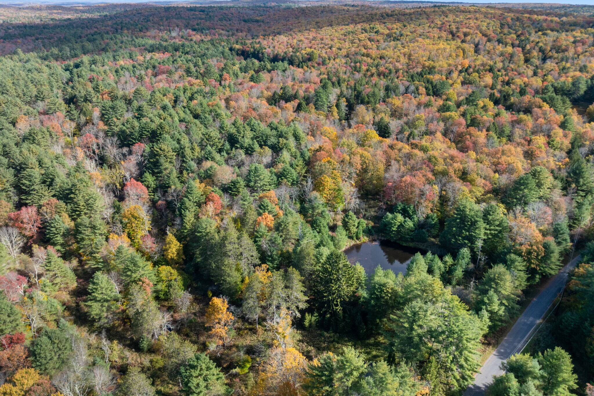 378 Gregory Rd, Monticello, NY for sale Primary Photo- Image 1 of 1