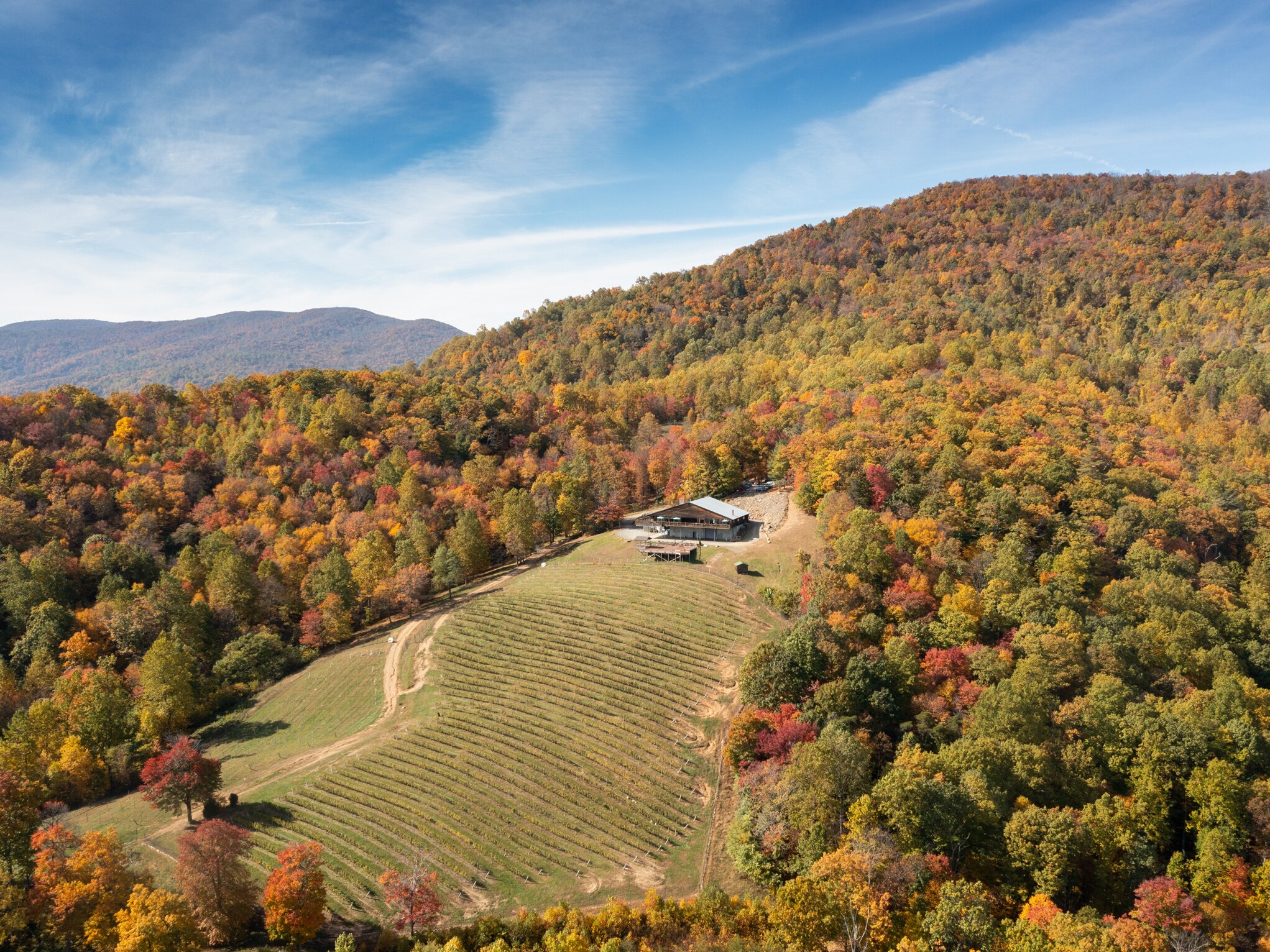 1376 Wyatt Mountain Rd, Dyke, VA for sale Primary Photo- Image 1 of 1