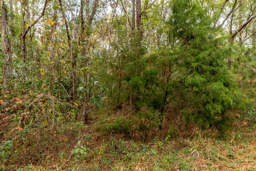 00000 Lake Lindsey Rd, Brooksville, FL for sale - Building Photo - Image 3 of 16