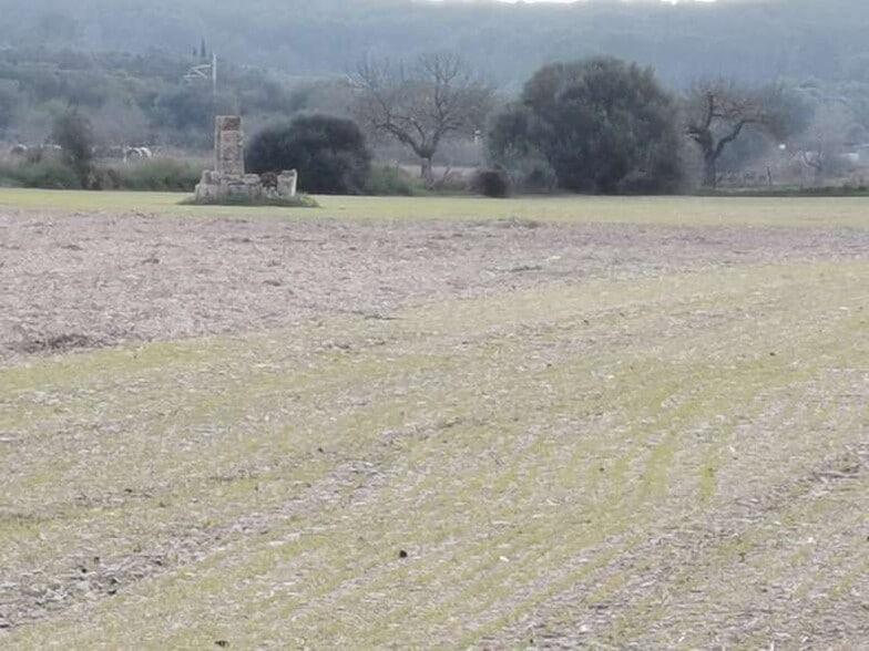 Land in Sineu for sale - Aerial - Image 1 of 6