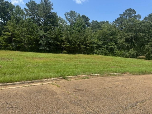 Parklane Rd, Mccomb, MS for sale - Building Photo - Image 1 of 4