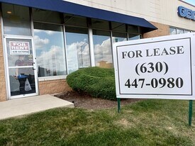 4412 E New York St, Aurora IL - Loft