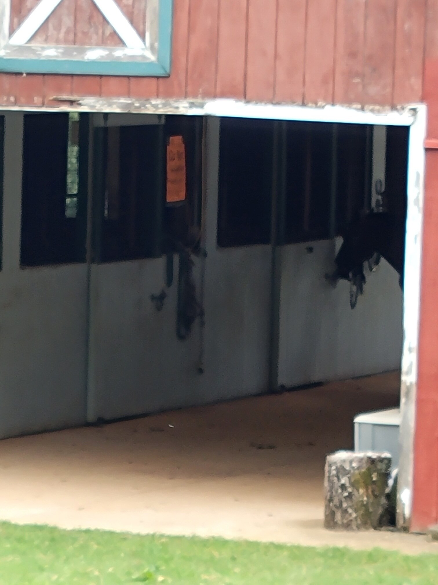 1088 Loth Wages Rd, Dacula, GA 30019 - Sharona Farms (Horse) Farm | LoopNet